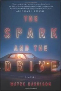 The Spark and the Drive by Wayne Harrison