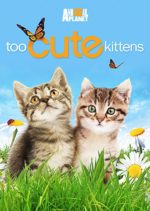 Too Cute